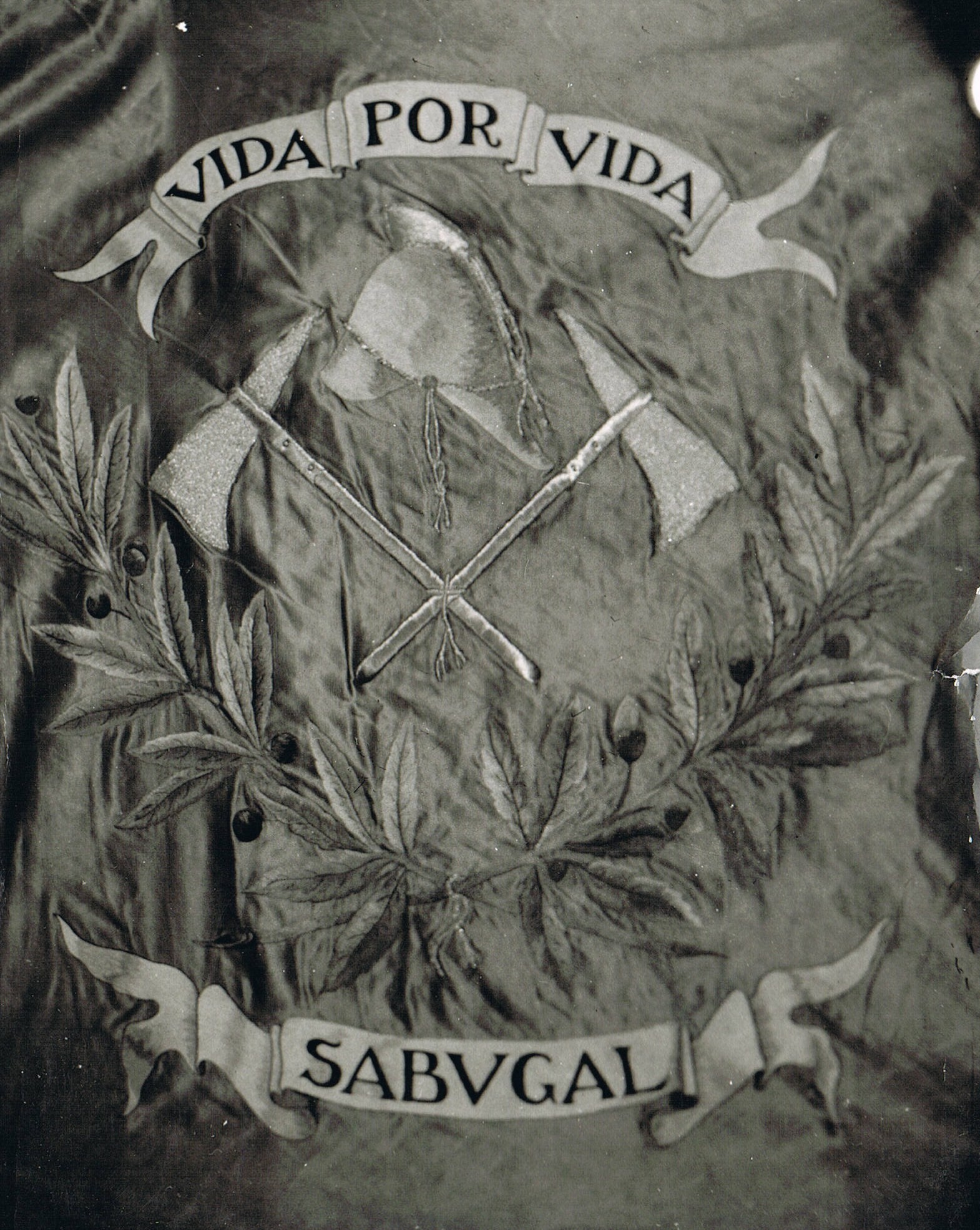 emblema1895